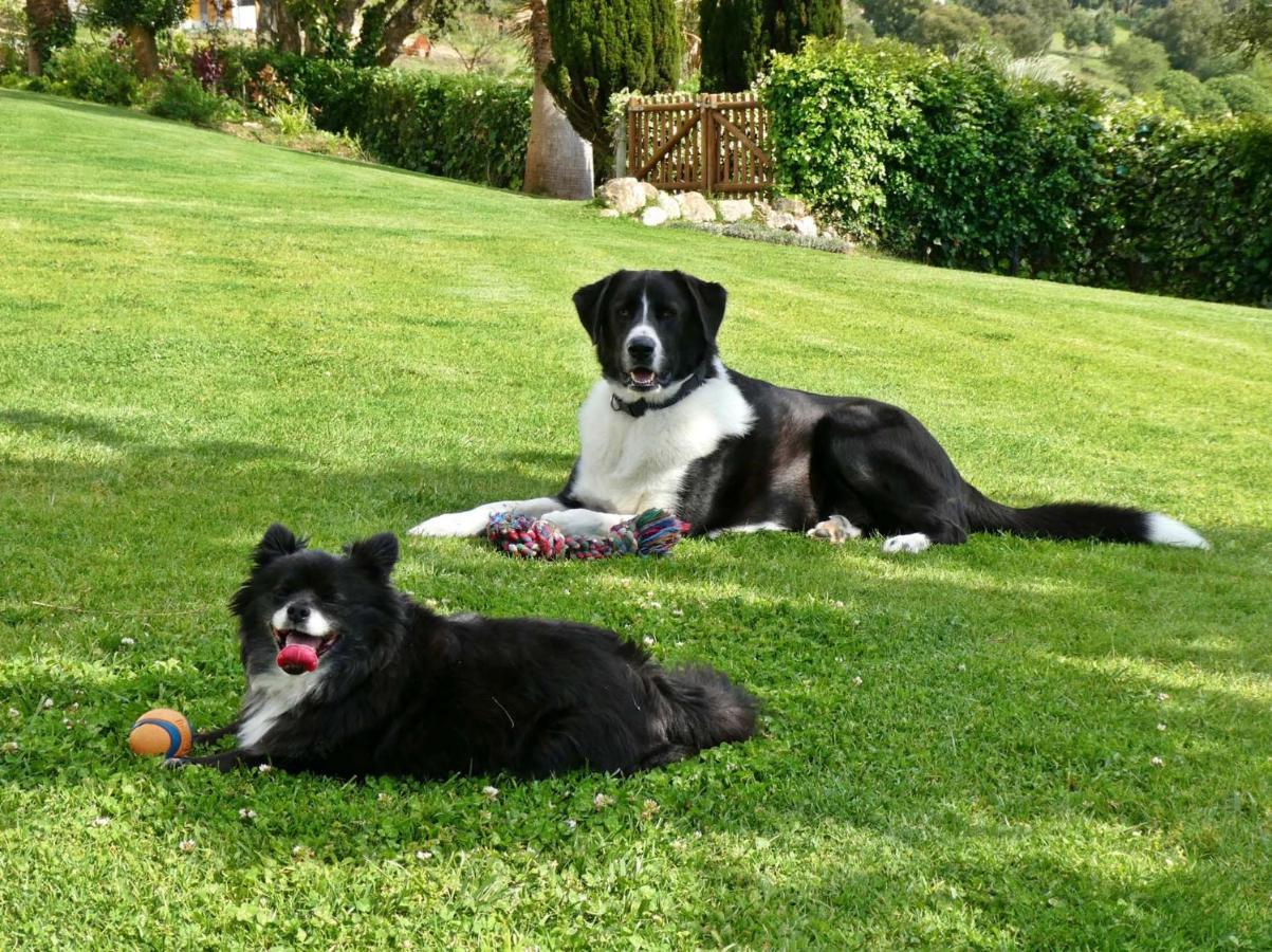 Vida-Vi, Country House And B&B Carvalhal Bemfeito 外观 照片