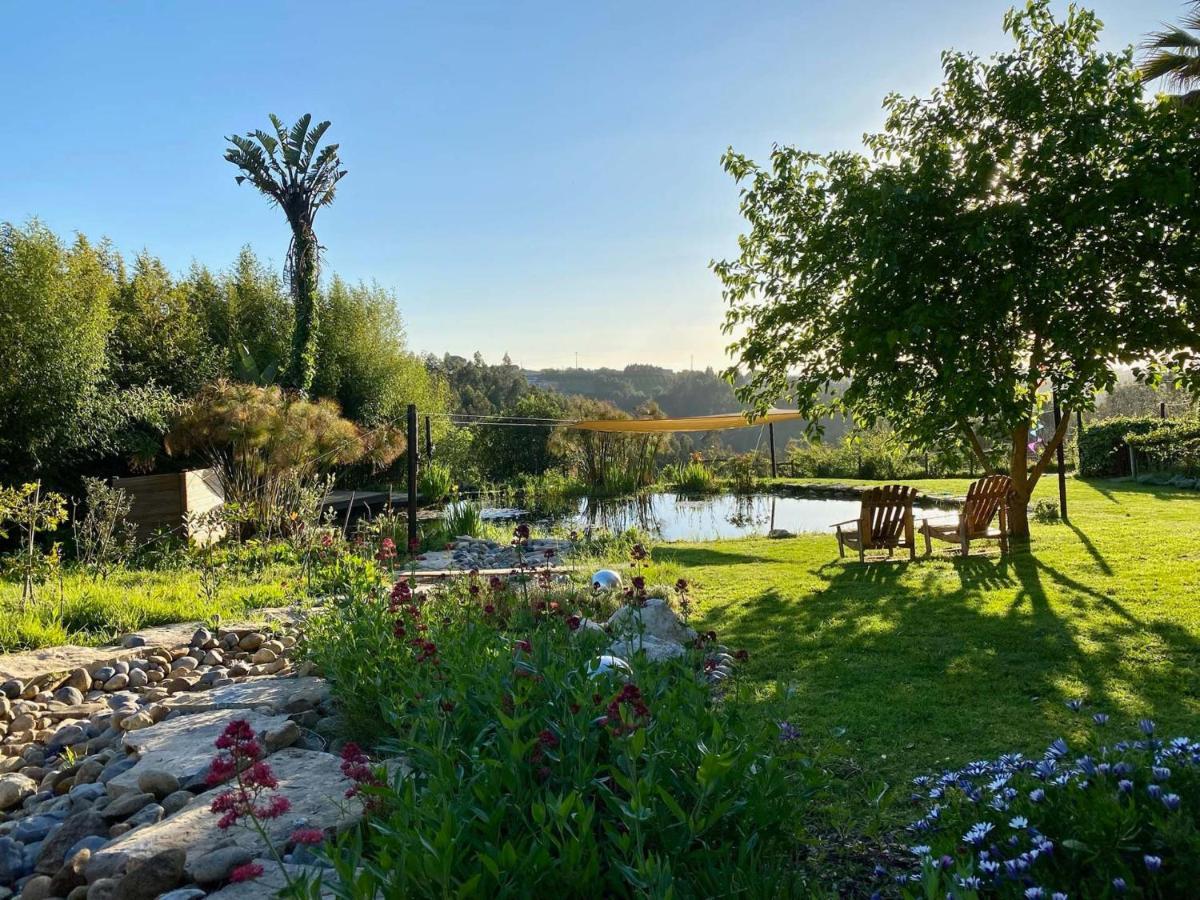 Vida-Vi, Country House And B&B Carvalhal Bemfeito 外观 照片