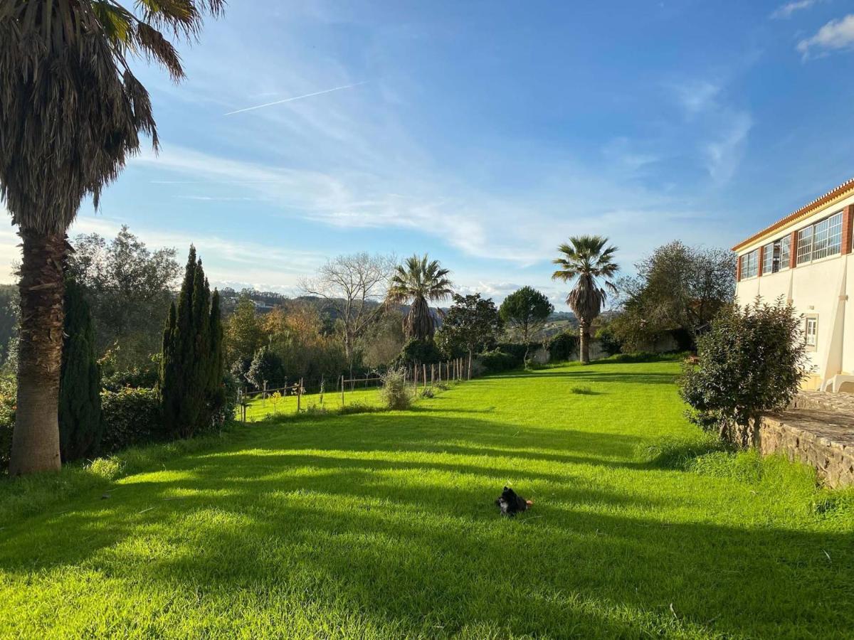 Vida-Vi, Country House And B&B Carvalhal Bemfeito 外观 照片