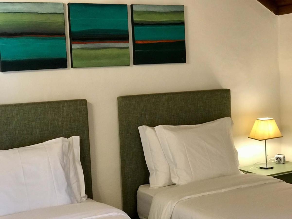 Vida-Vi, Country House And B&B Carvalhal Bemfeito 外观 照片