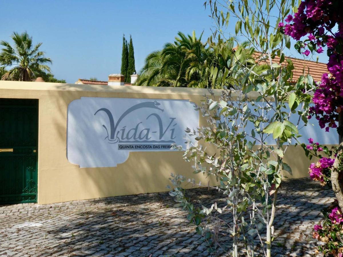 Vida-Vi, Country House And B&B Carvalhal Bemfeito 外观 照片