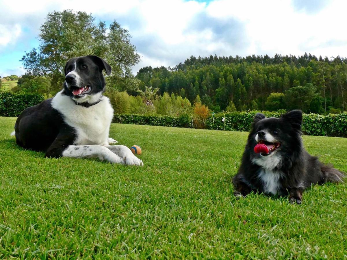 Vida-Vi, Country House And B&B Carvalhal Bemfeito 外观 照片