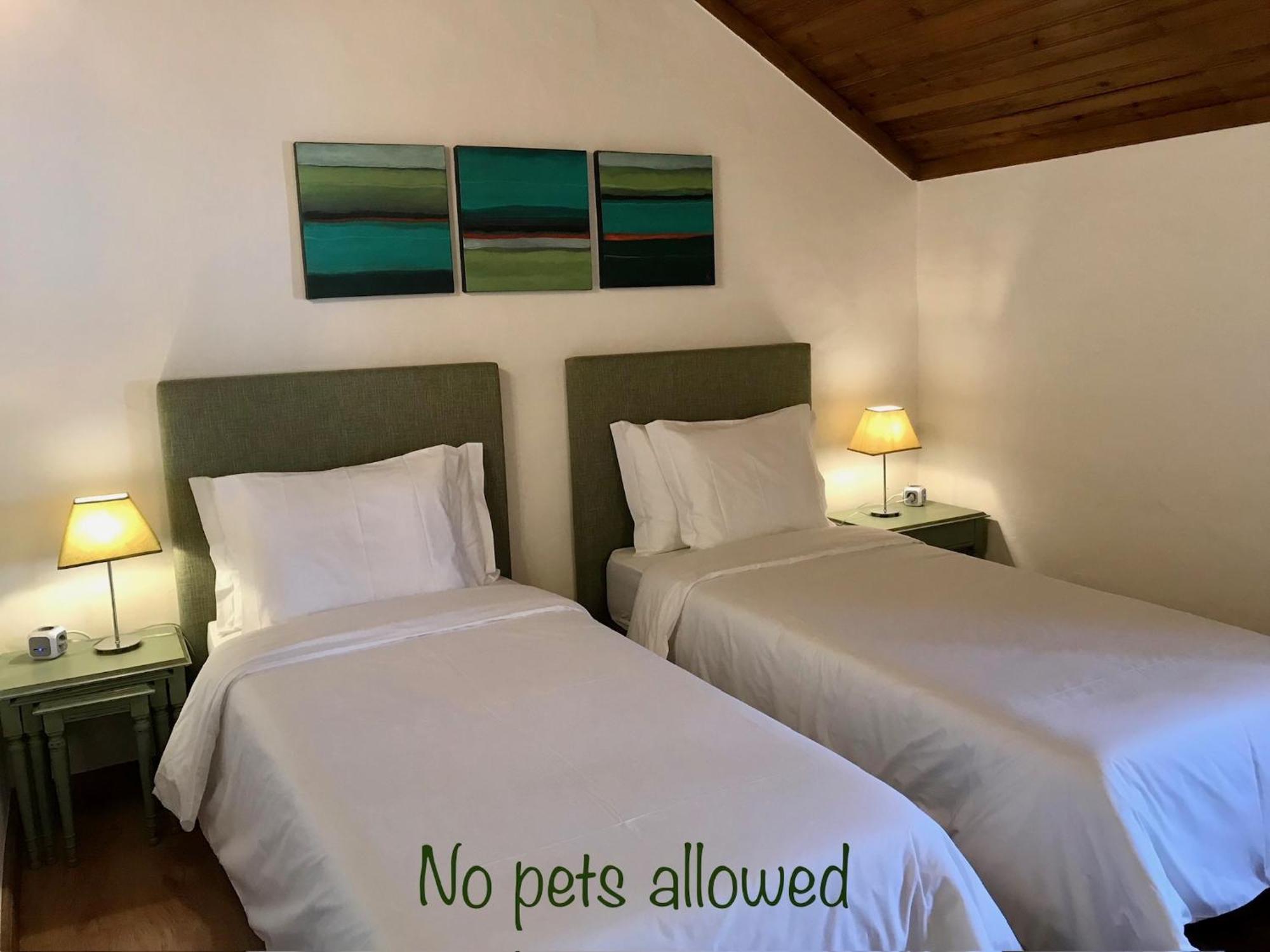 Vida-Vi, Country House And B&B Carvalhal Bemfeito 外观 照片